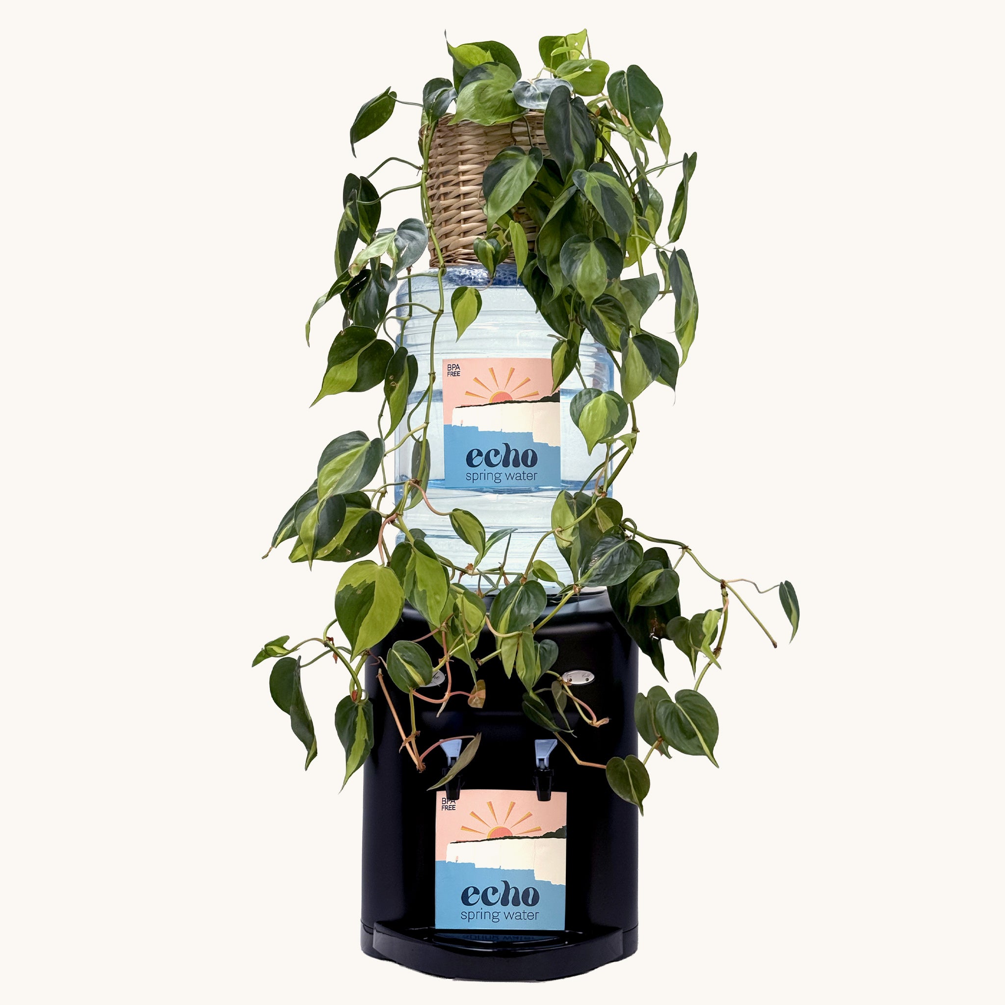 Avalanche Water Cooler