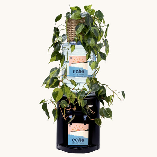 Avalanche Water Cooler