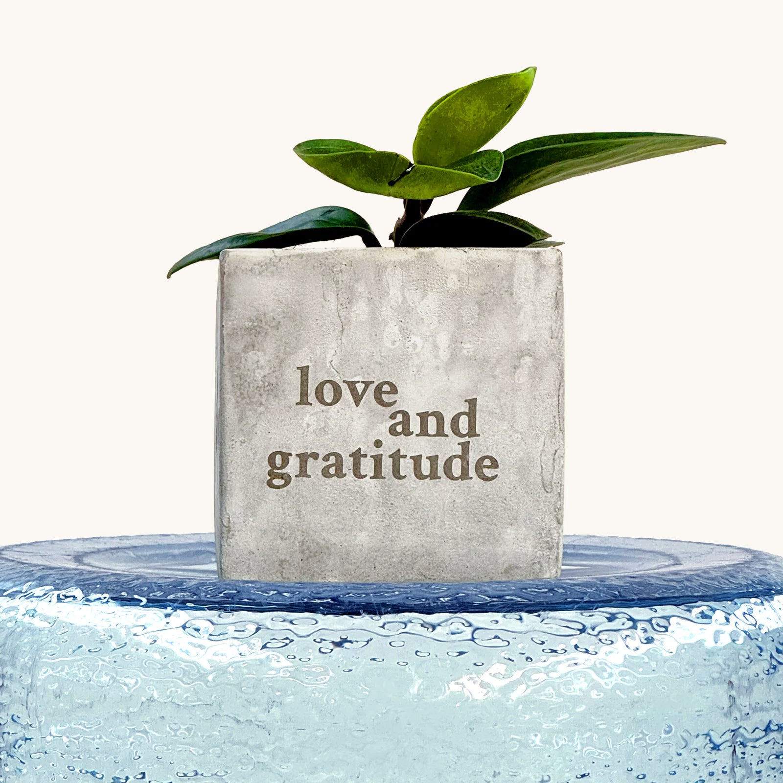 Love & Gratitude Plant Pot