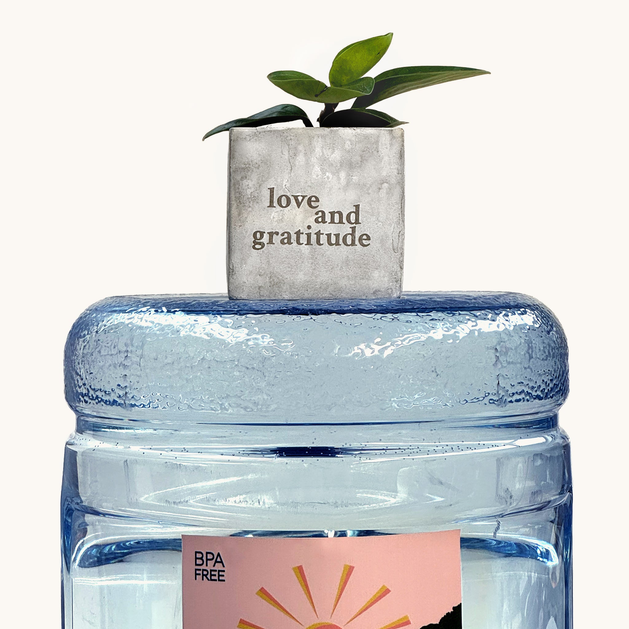Love & Gratitude Plant Pot